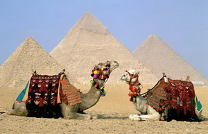 Подбор тура в Египет